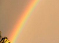Rainbow Over Los Angeles