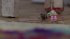 MARCEL THE SHELL WITH SHOES ON