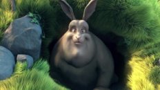 Big Buck Bunny