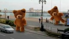 Cycles - The Teddy Bear Invasion