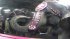 Ringling Beats Animals: A PETA Undercover Investigation