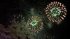 ITN News: Watch the whole of Sydney's New Year's fireworks display