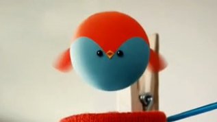 Laundry Birds
