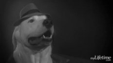 Casabarka