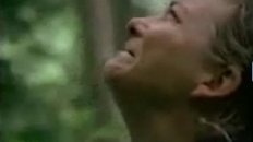 Emotional Hippies Cry Over Dead Trees