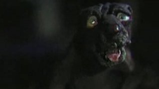 Suzie Templeton - Dog