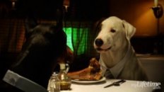 The Dogfather