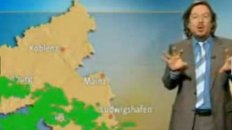 TV Weather Broadcasting While Kitty Walks Around On The Set