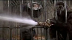 This is a Man Hose