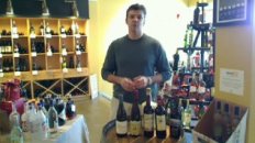 The Art of Pairing Wines for Thanksgiving Meals