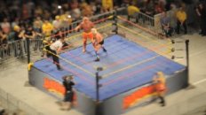 Hulkamania