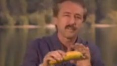 Bananas Are Proof God Exists