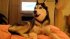 Husky Dog Talking - "I Love You"