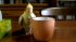 Bird Stirs Coffee