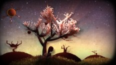 The Forest