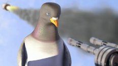 Pigeon: Impossible