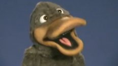 The P-P-Platypus Song