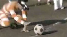 Japanese Binocular Soccer