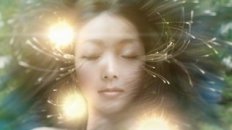 The Light of Life