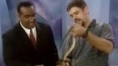 Killer Lizard Attacks News Reporter