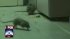 Rats Take Over KFC/Taco Bell
