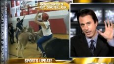 2-Year-Old Donkey Called Up To Pro Donkey Basketball League