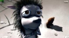 The Hedgehog and the Bird