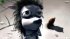 The Hedgehog and the Bird