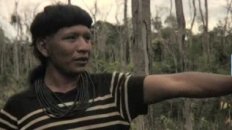 Amazon destruction Threatens Enawene Nawe Tribe