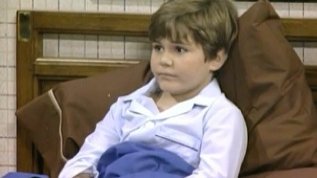 Small Wonder is so gay