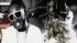 Taylor Swift and T-Pain Rap