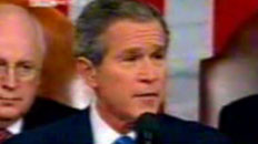 Bush Mashup