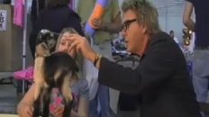 Almost Antique Roadshow - Goat Girl