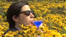 Windex Commercials
