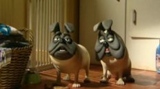 Pugs