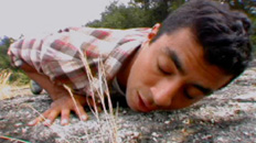 The Hills Are Alive 2