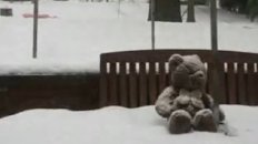 Snowlapse 2010