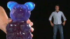 The World's Largest Gummy Bear